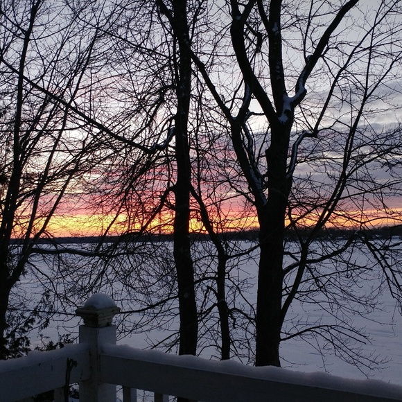 Meet your Posher, Eva - Picture 1 of 1